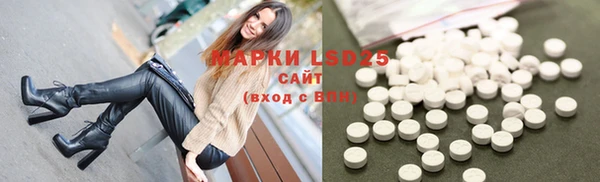прущие грибы Абаза